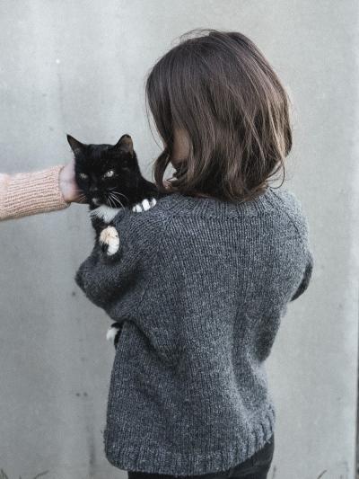 Modèle de tricot du pull Ruke Jumeaux