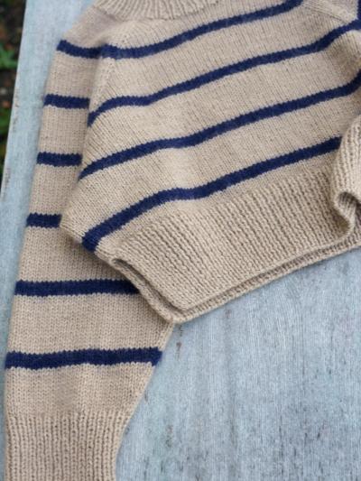 Vue de dos du modèle Ruke Cropped sweater